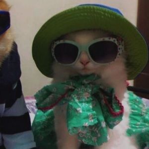 Meet your Posher, Alison-sophie